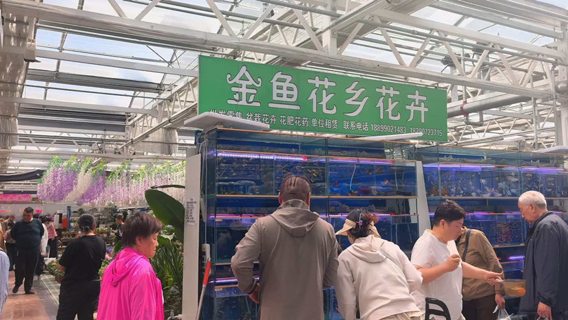 微信圖片_20260522191021_164_343_副本.jpg